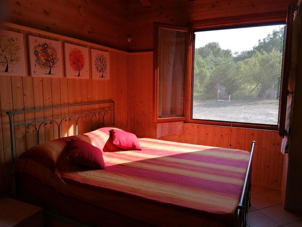 Agriturismo Bio Apipoli Lucino Kültér fotó