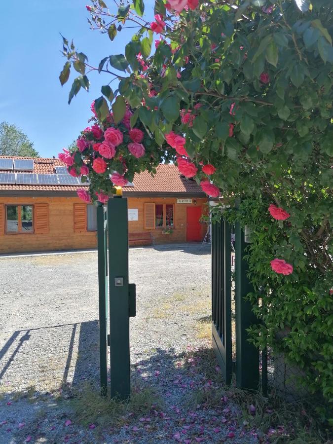 Agriturismo Bio Apipoli Lucino Kültér fotó